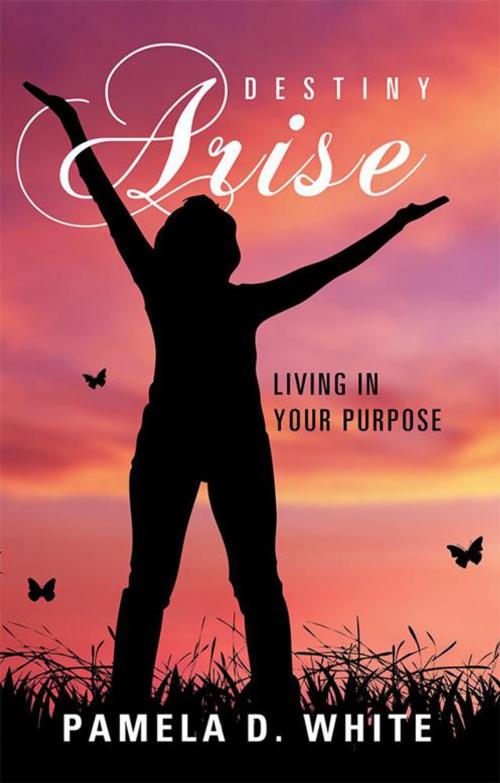 Cover of the book Destiny Arise by Pamela D. White, WestBow Press
