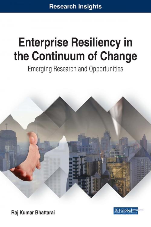 Cover of the book Enterprise Resiliency in the Continuum of Change by Raj Kumar Bhattarai, IGI Global