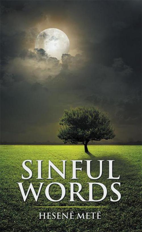 Cover of the book Sinful Words by Hesenê Metê, AuthorHouse UK