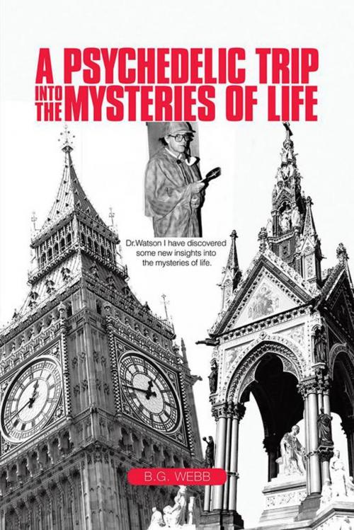 Cover of the book A Psychedelic Trip into the Mysteries of Life by B.G. Webb, AuthorHouse
