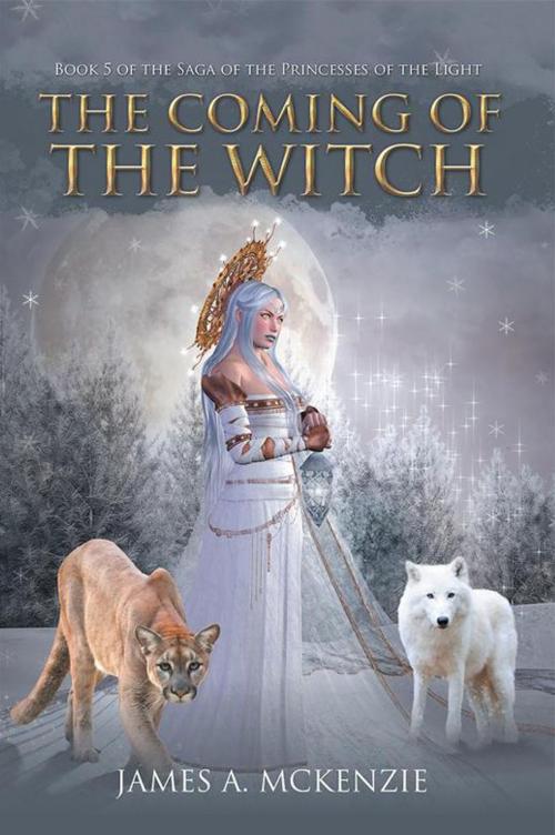 Cover of the book The Coming of the Witch by James A. McKenzie, iUniverse