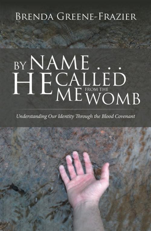Cover of the book By Name . . . He Called Me from the Womb by Brenda Greene-Frazier, iUniverse