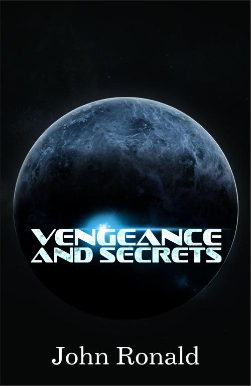 Cover of the book Vengeance and Secrets by John Ronald, John Ronald