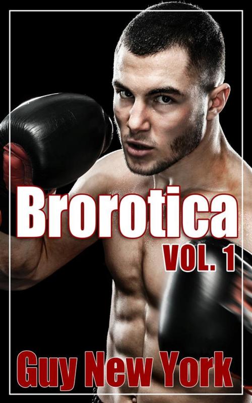 Cover of the book Brorotica Vol.1 by Guy New York, QNY