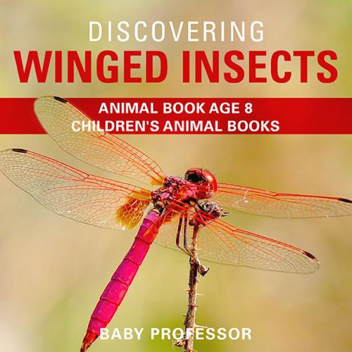 Cover of the book Discovering Winged Insects - Animal Book Age 8 | Children's Animal Books by Baby Professor, Speedy Publishing LLC