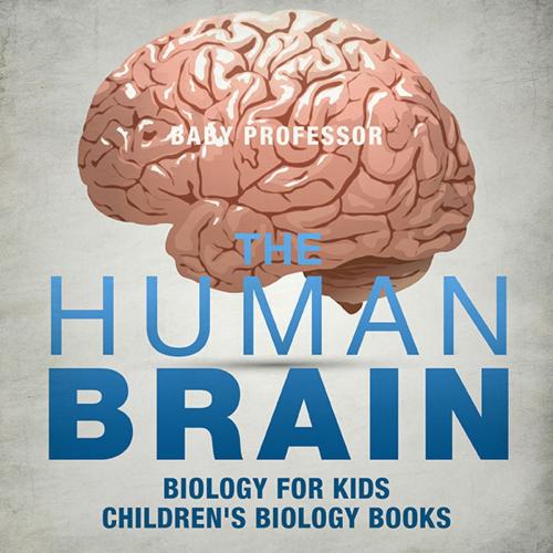 Cover of the book The Human Brain - Biology for Kids | Children's Biology Books by Baby Professor, Speedy Publishing LLC