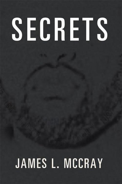 Cover of the book Secrets by James L. McCray, Xlibris US