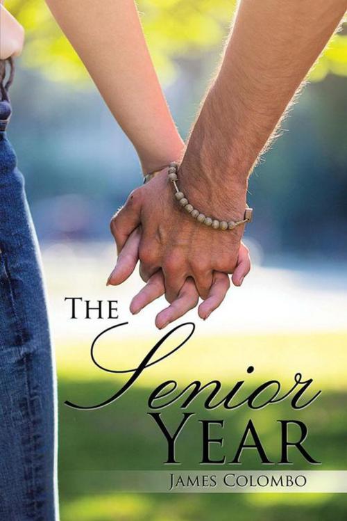 Cover of the book The Senior Year by James Colombo, Xlibris US
