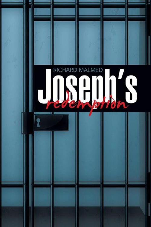 Cover of the book Joseph’S Redemption by Richard Malmed, Xlibris US