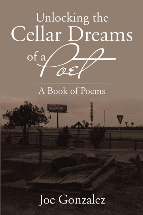 Cover of the book Unlocking the Cellar Dreams of a Poet by Joe Gonzalez, Xlibris US
