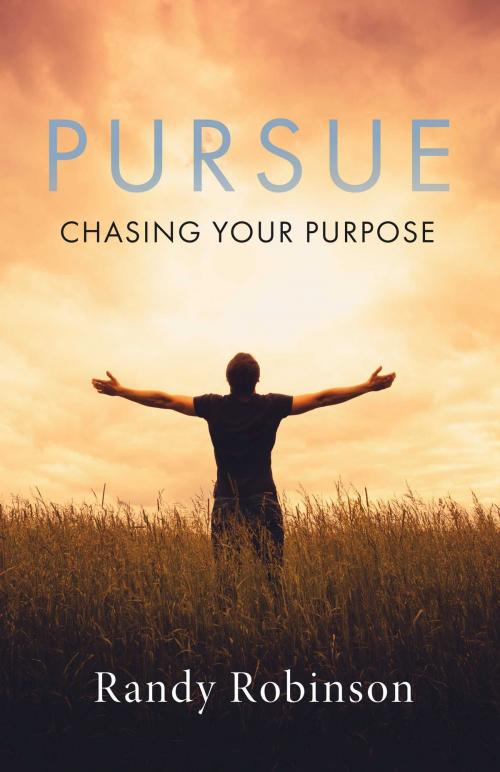 Cover of the book Pursue by Randy Robinson, BookBaby