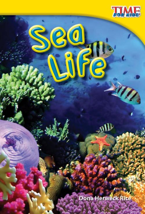 Cover of the book Sea Life by Dona Herweck Rice, Teacher Created Materials