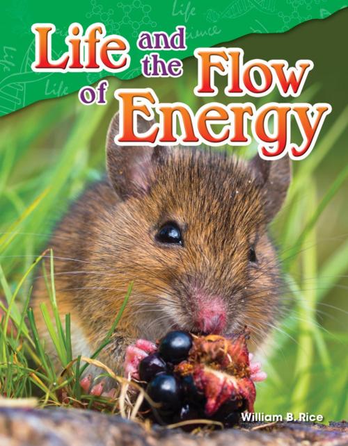 Cover of the book Life and the Flow of Energy by William B. Rice, Teacher Created Materials