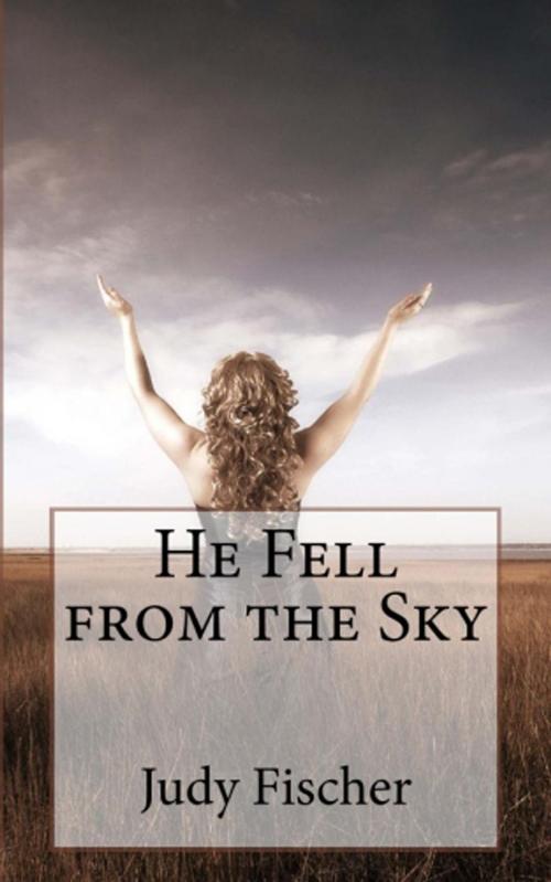 Cover of the book He Fell from the Sky by Judy Fischer, Saguaro Books, LLC