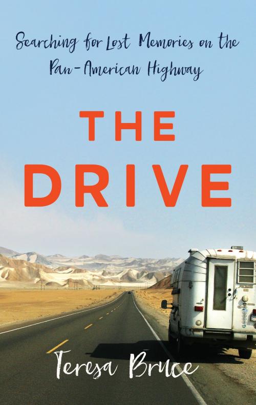 Cover of the book The Drive by Teresa Bruce, Basic Books