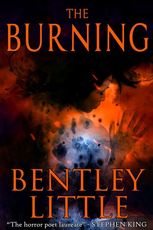 Cover of the book The Burning by Bentley Little, Cemetery Dance Publications
