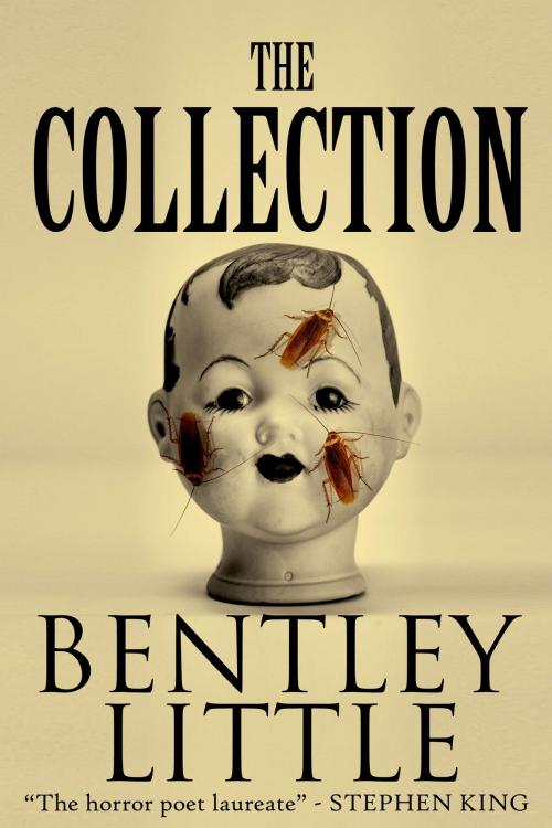 Cover of the book The Collection by Bentley Little, Cemetery Dance Publications
