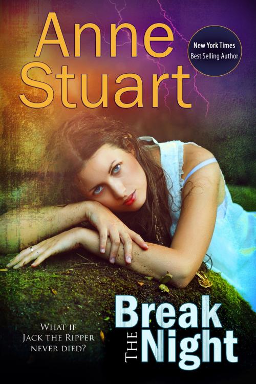 Cover of the book Break the Night by Anne Stuart, BelleBooks Inc.
