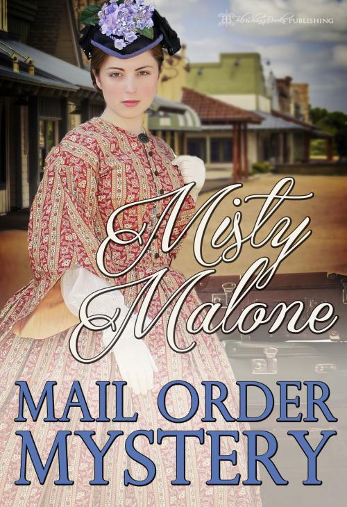 Cover of the book Mail Order Mystery by Misty Malone, Blushing Books