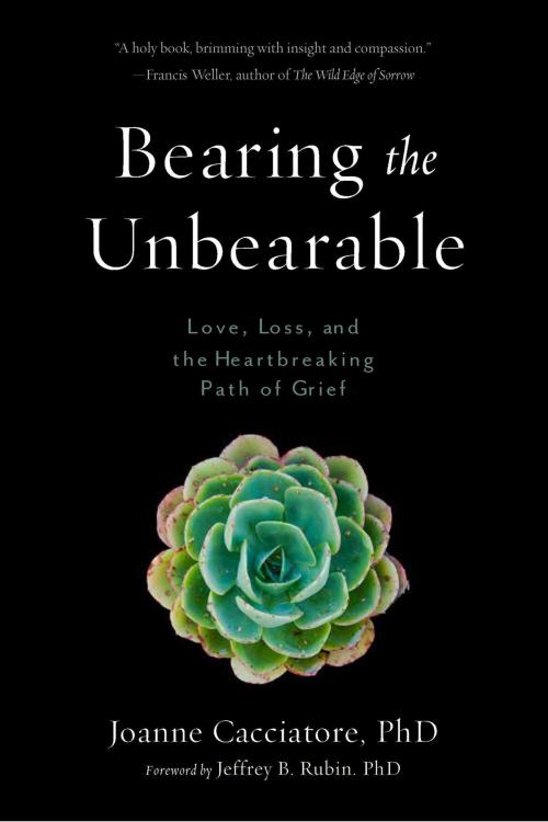 Cover of the book Bearing the Unbearable by Joanne Cacciatore, Wisdom Publications