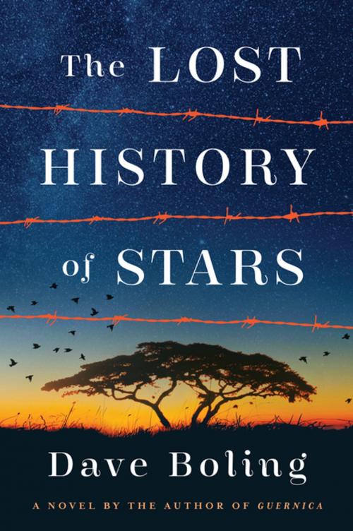 Cover of the book The Lost History of Stars by Dave Boling, Algonquin Books
