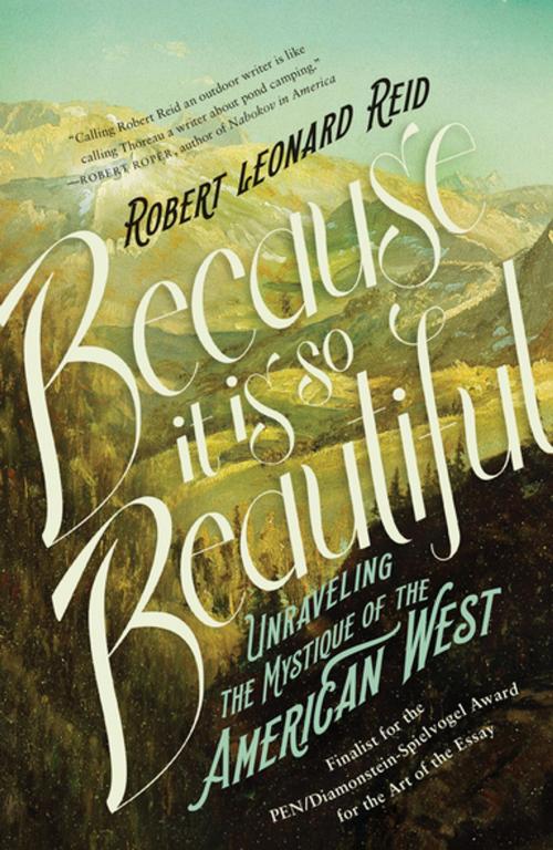 Cover of the book Because It Is So Beautiful by Robert Leonard Reid, Counterpoint