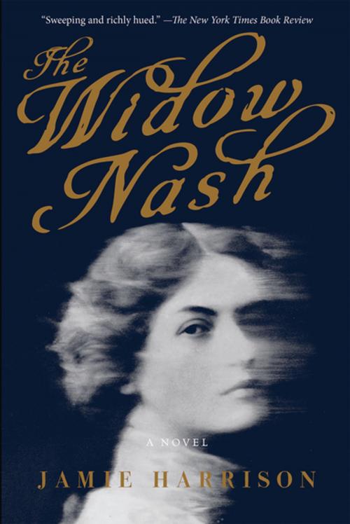 Cover of the book The Widow Nash by Jamie Harrison, Counterpoint
