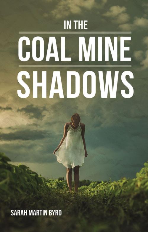 Cover of the book In the Coal Mine Shadows by Sarah Martin Byrd, Ambassador International