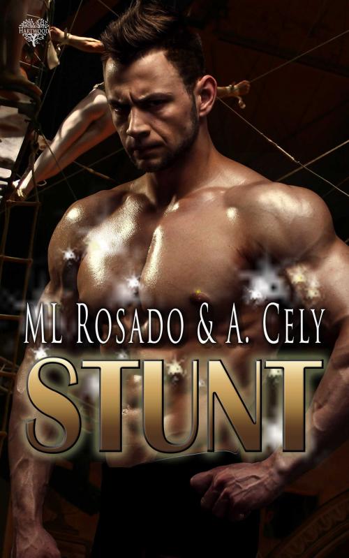 Cover of the book Stunt by ML Rosado, A. Cely, Hartwood Publishing