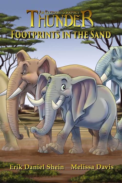 Cover of the book Footprints in the Sand by Erik Daniel Shein, Melissa Davis, World Castle Publishing, LLC