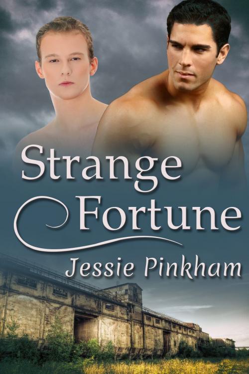 Cover of the book Strange Fortune by Jessie Pinkham, JMS Books LLC
