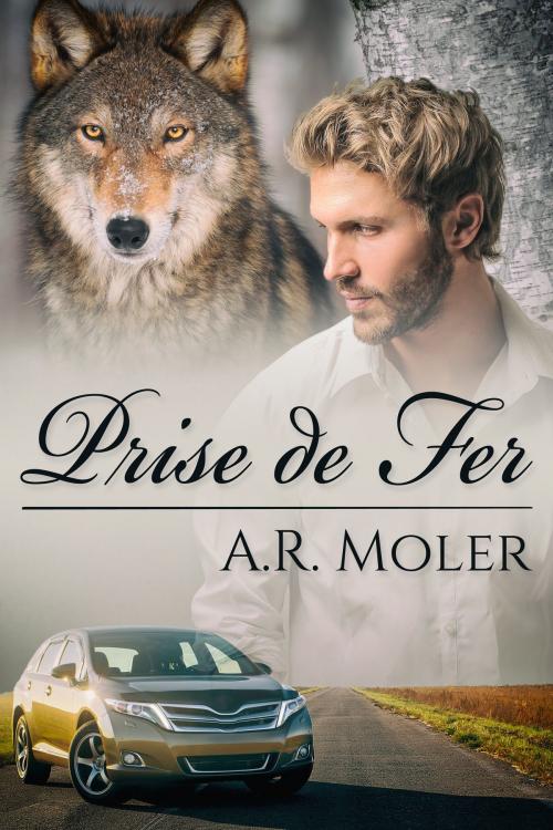 Cover of the book Prise de Fer by A.R. Moler, JMS Books LLC