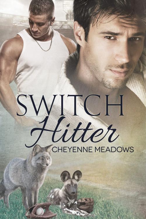 Cover of the book Switch Hitter by Cheyenne Meadows, Dreamspinner Press