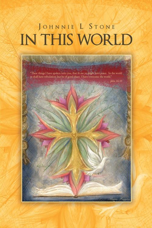 Cover of the book In This World by Johnnie L Stone, Christian Faith Publishing