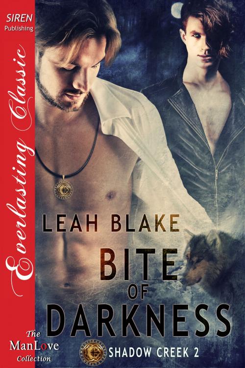 Cover of the book Bite of Darkness by Leah Blake, Siren-BookStrand