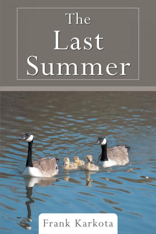 Cover of the book The Last Summer by Frank Karkota, Page Publishing, Inc.