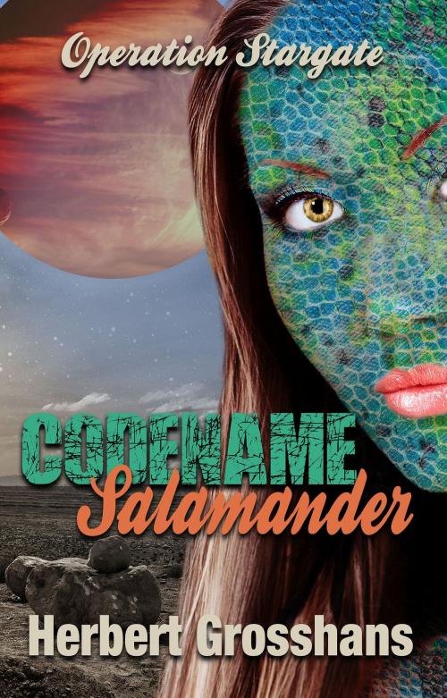Cover of the book Codename Salamander by Herbert Grosshans, Melange Books, LLC