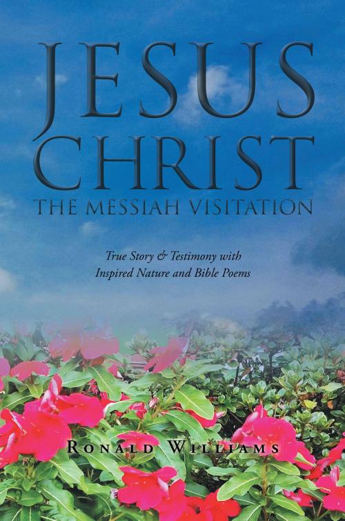 Cover of the book Jesus Christ, the Messiah Visitation by Ronald Williams, Christian Faith Publishing