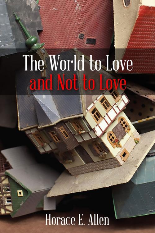 Cover of the book The World to Love and Not to Love by Horace Allen, Redemption Press