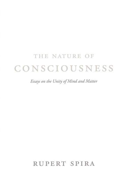 Cover of the book The Nature of Consciousness by Rupert Spira, Bernardo Kastrup, New Harbinger Publications