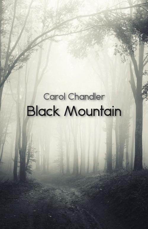 Cover of the book Black Mountain by Carol Chandler, Ginninderra Press