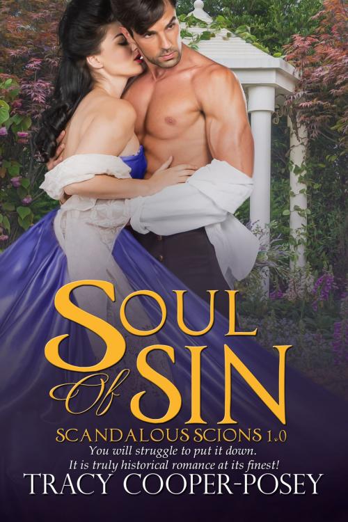 Cover of the book Soul of Sin by Tracy Cooper-Posey, Stories Rule Press