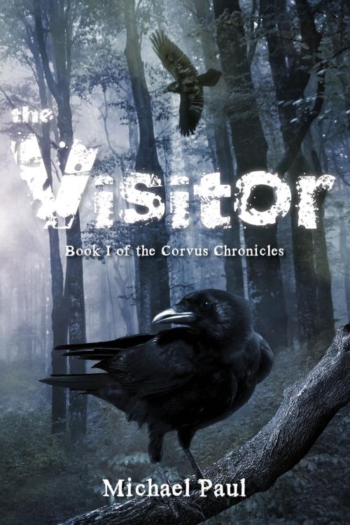 Cover of the book The Visitor by Michael Paul, Tellwell Talent