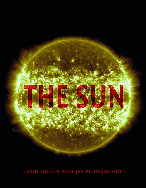 Cover of the book The Sun by Leon Golub, Jay M. Pasachoff, Reaktion Books