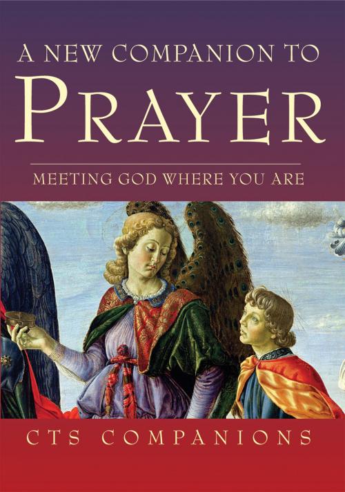 Cover of the book New Companion to Prayer: Meeting God where you are by Celia Wolf-Devine, Catholic Truth Society