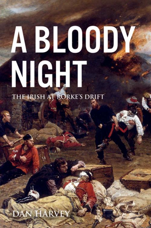 Cover of the book A Bloody Night by Dan Harvey, Irish Academic Press