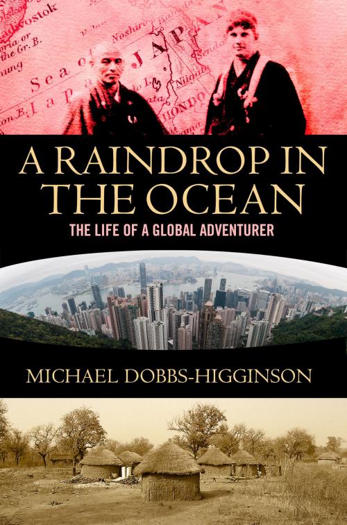 Cover of the book Raindrop in the Ocean by Michael Dobbs-Higginson, Eye Books
