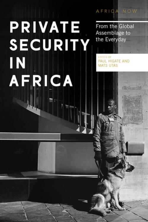 Cover of the book Private Security in Africa by , Zed Books