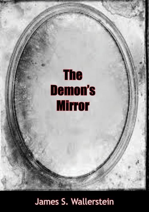 Cover of the book The Demon’s Mirror by James S. Wallerstein, Muriwai Books