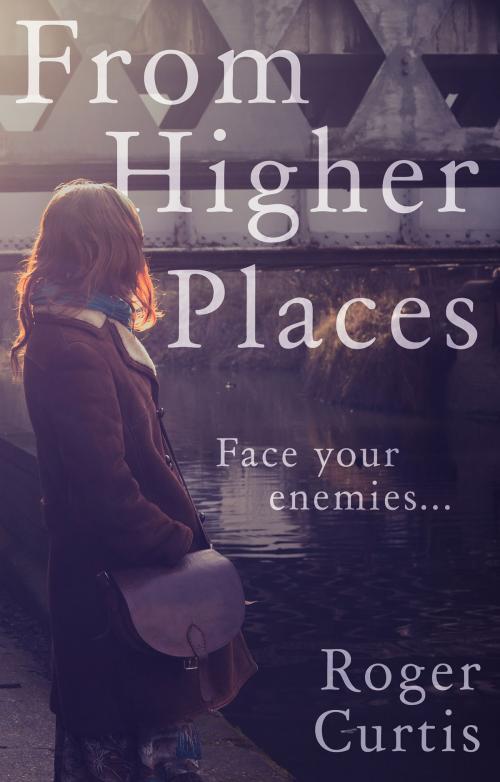Cover of the book From Higher Places by Roger Curtis, Troubador Publishing Ltd